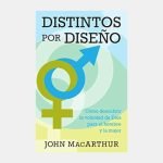 Distintos por diseño