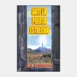 Ante la puerta estrecha