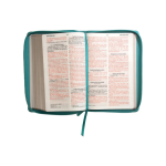 Reina Valera 1960 letra grande - Imagen 4