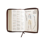 Reina Valera 1960 - Imagen 6