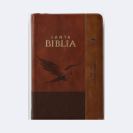 Reina Valera 1960 letra grande