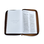 Reina Valera 1960 letra grande - Imagen 3