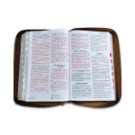 Reina Valera 1960 letra grande - Imagen 5