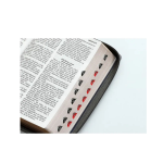 Reina Valera 1960 letra grande - Imagen 3