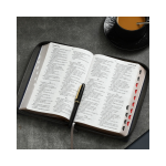 Reina Valera 1960 letra grande - Imagen 2