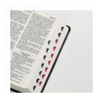 Reina Valera 1960 - Imagen 4