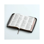 Reina Valera 1960 - Imagen 3