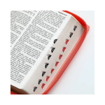 Reina Valera 1960 letra grande - Imagen 4