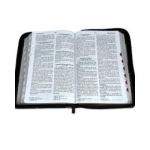 Reina Valera 1960 letra grande - Imagen 2