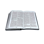 Santa Biblia NTV letra gigante ( Nueva Traducción viviente) - Imagen 2