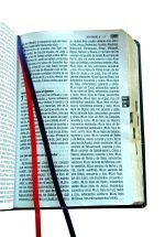 Santa Biblia Reina Valera 1960 - Imagen 3