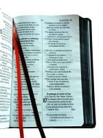 Santa Biblia Reina Valera 1960 (letra grande) - Imagen 4