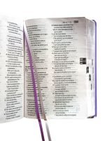 Santa Biblia Reina Valera 1960 (letra  grande) - Imagen 3