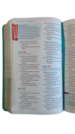 Biblia GO NTV (Nueva Traducción Viviente) Niños - Imagen 4