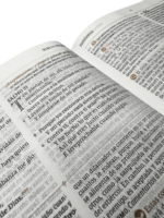 Biblia de Estudio Patristica Reina-Valera 1960 - Imagen 4