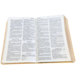 Santa Biblia Reina-Valera 1960 - Imagen 2