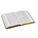 Biblia de Estudio Vida plena Reina-Valera 1960 - Imagen 3