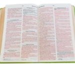 Santa Biblia Reina-Valera 1960 - Imagen 2