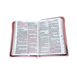 Santa Biblia Reina-Valera 1960 - Imagen 4