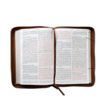 Santa Biblia Reina-Valera 1960 - Imagen 4