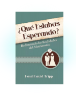 ¿Qué Estabas Esperando? - Paul David Tripp