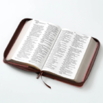 Biblia RVR60 LG Mujer Virtuosa Tamaño Manual - Imagen 2