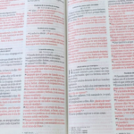 Santa Biblia RVR 1960, Obsequios y Premios, con Cierre, Beige con hojas - Imagen 2