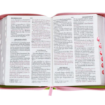 Biblia RVR60 Letra Grande –Tricolor Rosa, Fucsia, Lima - Imagen 2