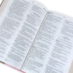 Biblia RV1960 Vintage Rosa, Elástico Letra Grande 11 puntos - Imagen 2